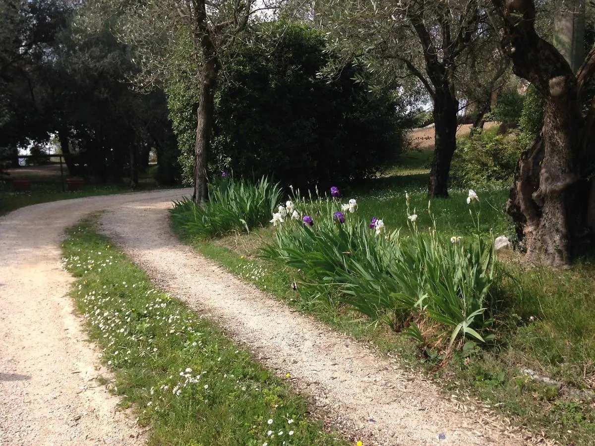Villa In The Green, Extraordinary Silent Position, Great Lake View Garda  0*, Garda (Verona)
