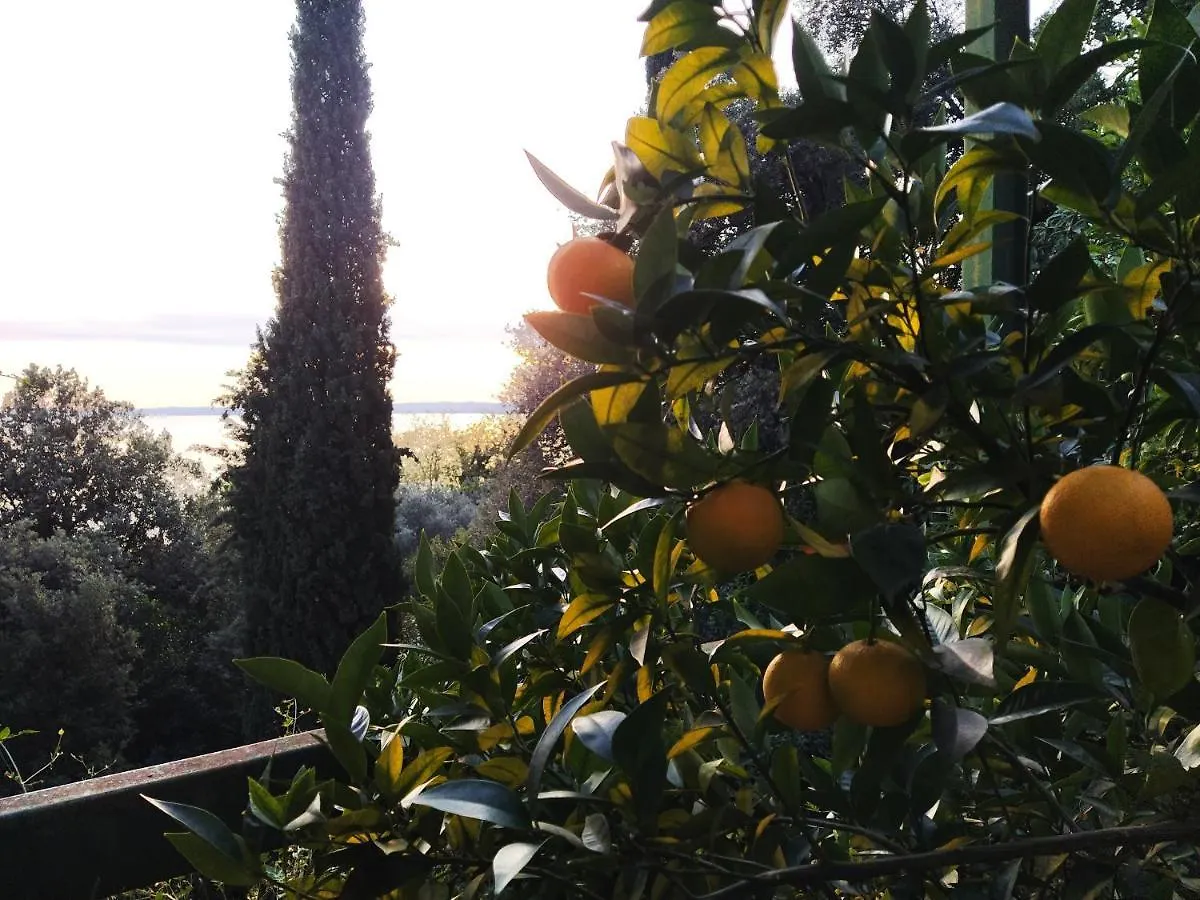 Villa In The Green, Extraordinary Silent Position, Great Lake View Garda  Garda (Verona)
